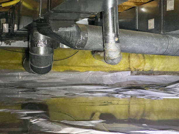 Best Water damage restoration near me  in Oronoco, MN